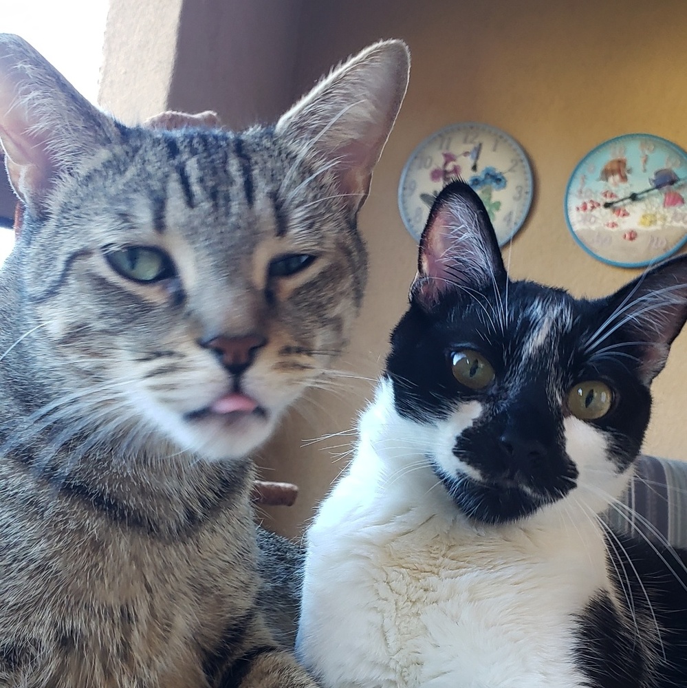 Meet your Posher, Tiffany